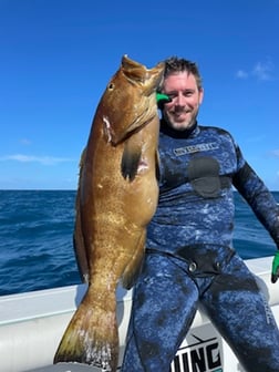 Warsaw Grouper fishing in Islamorada, Florida