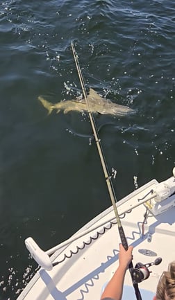 Fishing in Santa Rosa Beach, Florida