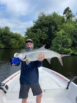 Tarpon fishing in Carolina, Carolina