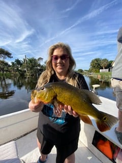 Peacock Bass Fishing in West Palm Beach, Florida