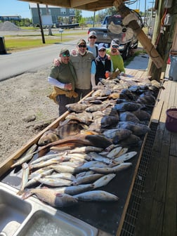 Sheepshead, Speckled Trout / Spotted Seatrout Fishing in Yscloskey, Louisiana