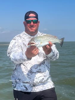 Speckled Trout Fishing in Corpus Christi, Texas