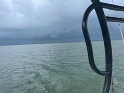 Spadefish, Spanish Mackerel fishing in Gulf Shores, Alabama