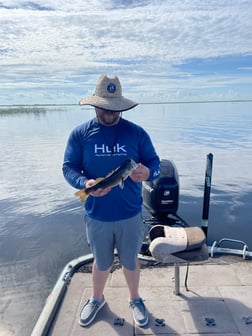 Largemouth Bass fishing in Lake Okeechobee, Florida