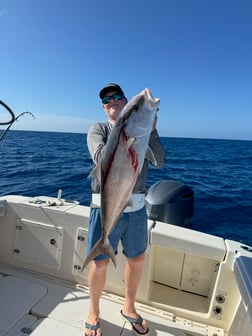 Fishing in Marathon, Florida