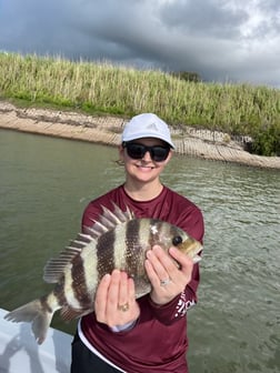 Speckled Trout / Spotted Seatrout fishing in Galveston, Texas