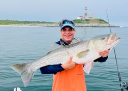 Striped Bass Fishing in Montauk, New York