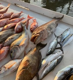 Snowy Grouper Fishing in Gulf Shores, Alabama