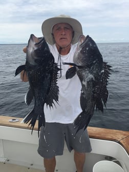 Flounder fishing in Montauk, Suffolk County