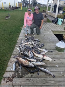 Speckled Trout / Spotted Seatrout Fishing in Sulphur, Louisiana