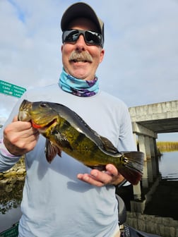 Fishing in Fort Lauderdale, Florida