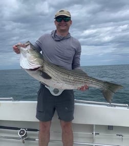 Striped Bass fishing in Montauk, New York