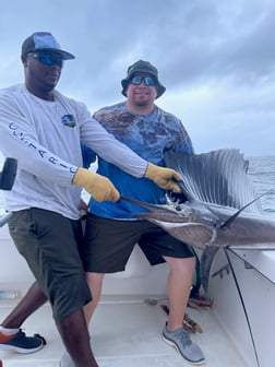 Sailfish fishing in Quepos, Costa Rica