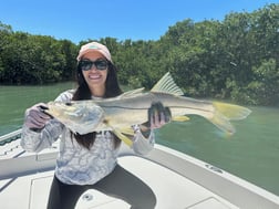 Tarpon Fishing in Tampa, Florida