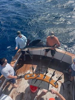 Mutton Snapper Fishing in Marathon, Florida