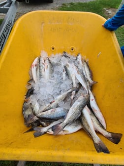 Fishing in Grand Isle, Louisiana