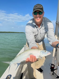 Tarpon Fishing in Islamorada, Florida