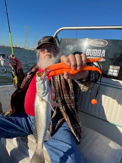 Speckled Trout / Spotted Seatrout Fishing in Galveston, Texas