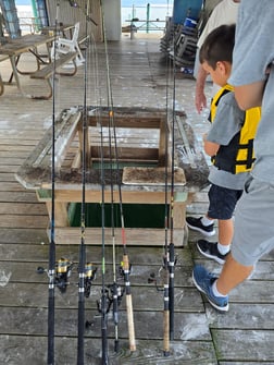 Fishing in Key Largo, Florida