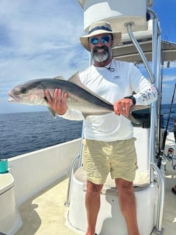 Amberjack Fishing in Panama City Beach, Florida