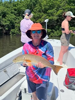 Fishing in Tampa, Florida