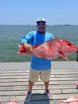 Red Snapper Fishing in Fort Walton Beach, Florida