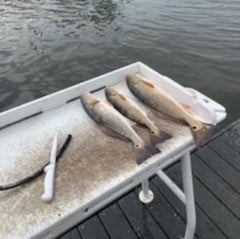 Red Snapper Fishing in Santa Rosa Beach, Florida