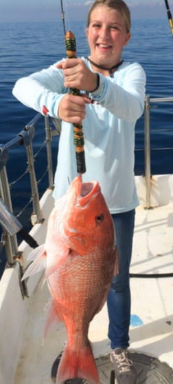 Gag Grouper Fishing in Clearwater, Florida