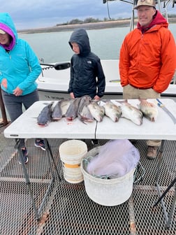 Fishing in Burnet, Texas