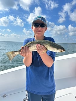 Snook Fishing in Tampa, Florida