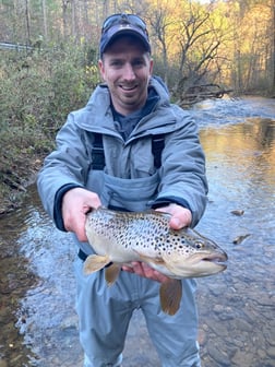 Fishing in Leicester, North Carolina