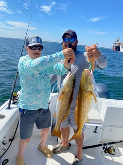 Redfish Fishing in Pensacola, Florida