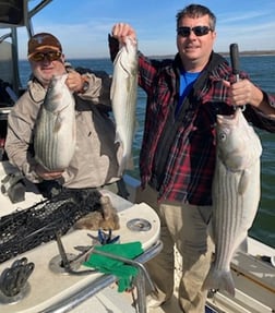 Striped Bass Fishing in Pottsboro, Texas