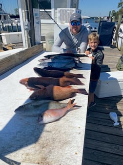 Little Tunny / False Albacore, Triggerfish, Vermillion Snapper Fishing in Niceville, Florida