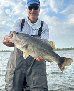 Largemouth Bass Fishing in Alba, Texas