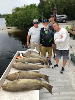 Fishing in Holiday, Florida