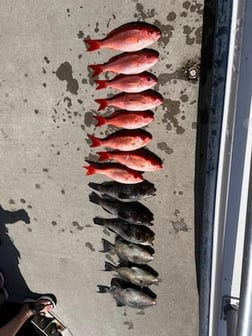 Fishing in St. Marys, Georgia