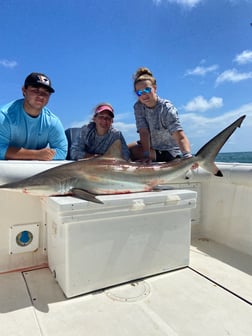 Blacktip Shark Fishing in Surfside Beach, Texas