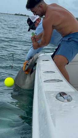 Fishing in Miami, Florida