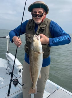 Black Drum Fishing in Aransas Pass, Texas