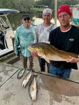 Fishing in Gulf Shores, Alabama