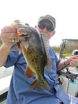 Fishing in Fort Lauderdale, Florida