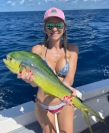 Barracuda fishing in Key Largo, Florida