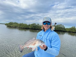 Redfish Fishing in Oak Hill, Florida