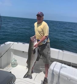 Striped Bass fishing in Montauk, New York