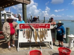 Redfish, Speckled Trout / Spotted Seatrout fishing in Rockport, Texas