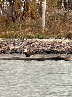 Fishing in Oak Harbor, Ohio