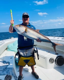 Amberjack fishing in Orange Beach, Alabama