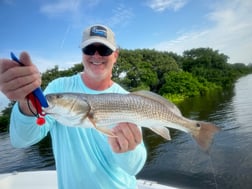 Fishing in St. Petersburg, Florida