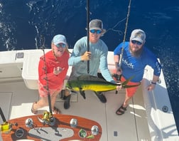 Mahi Mahi / Dorado Fishing in Key West, Florida